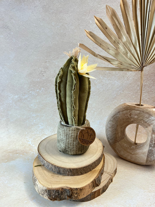 Mini Cactus in velluto verde menta, vaso in ceramica opaca simil cemento, altezza circa 23 cm