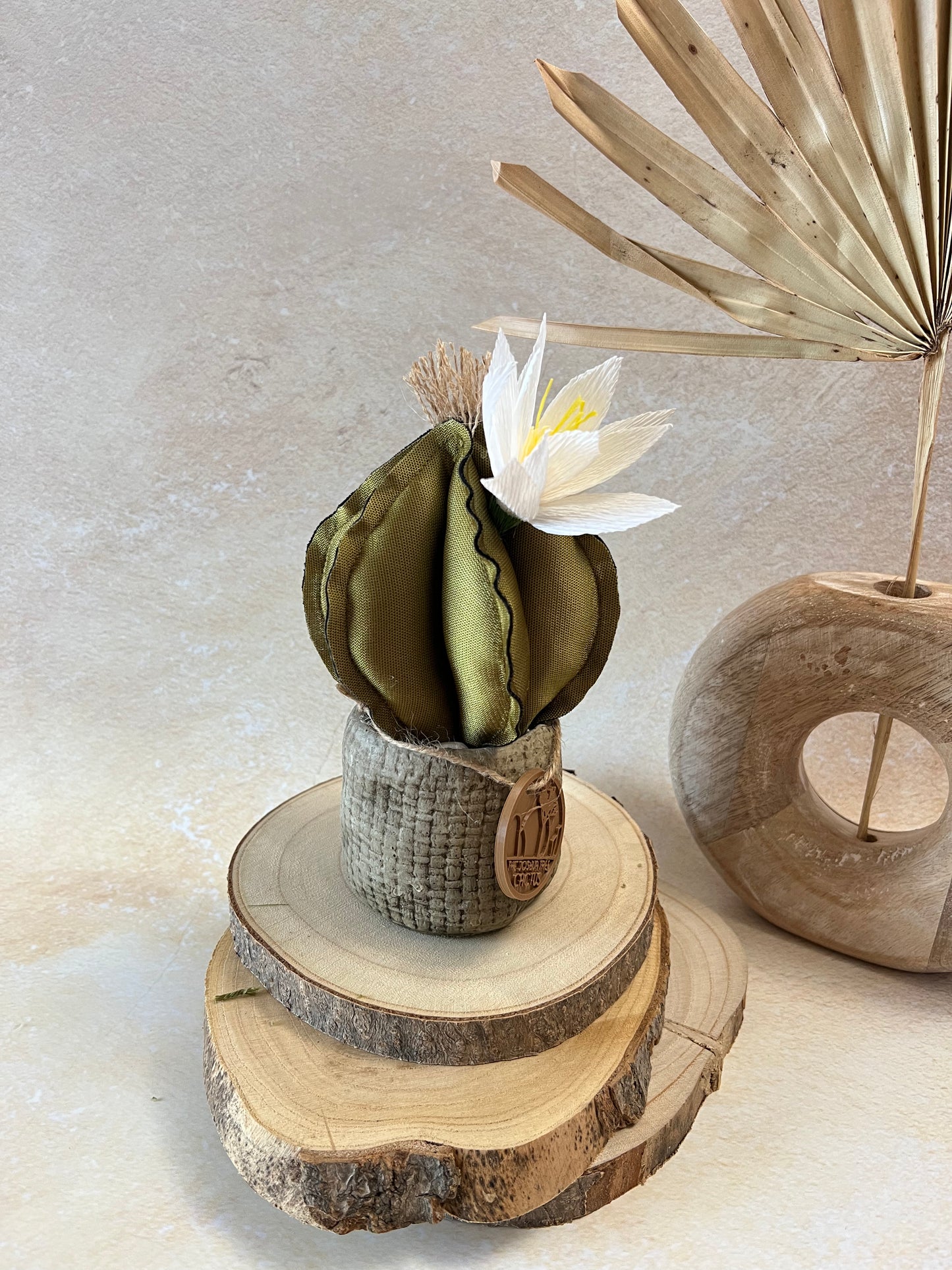 Mini Cactus in tessuto cangiante verde, vaso in ceramica opaca simil cemento, altezza circa 19 cm (fiore staccabile)