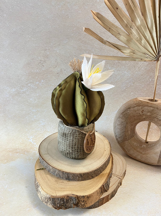 Mini Cactus in tessuto cangiante verde, vaso in ceramica opaca simil cemento, altezza circa 19 cm (fiore staccabile)