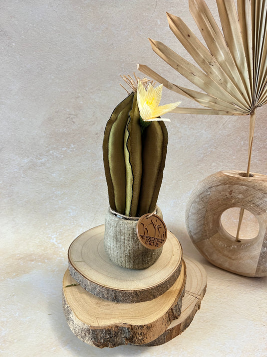 Mini Cactus in tessuto cangiante verde, vaso in ceramica opaca simil cemento, altezza circa 23 cm (fiore staccabile)