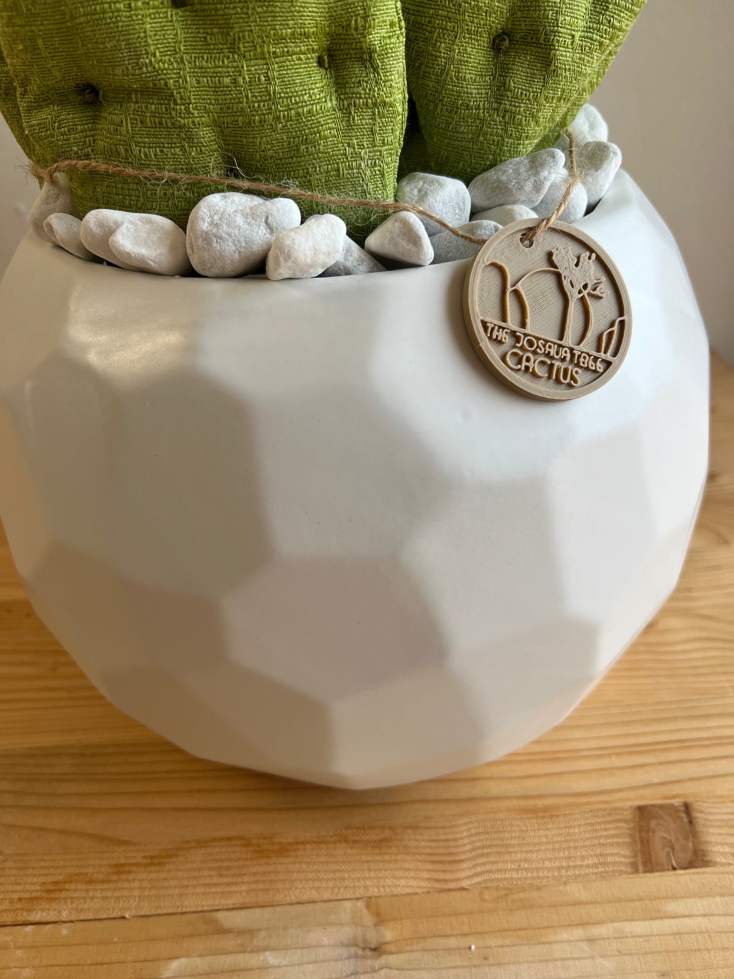 Opuntia in wool fabric complete with white ceramic vase and decorative stones.