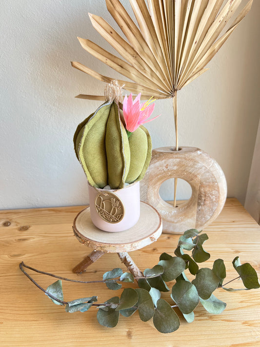 Mini Cactus in alcantara verde, vaso in ceramica rosa pallido, h circa 17 cm - fiore staccabile.