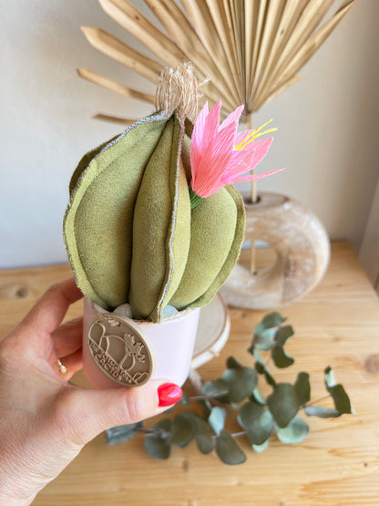Mini Cactus in alcantara verde, vaso in ceramica rosa pallido, h circa 17 cm - fiore staccabile.