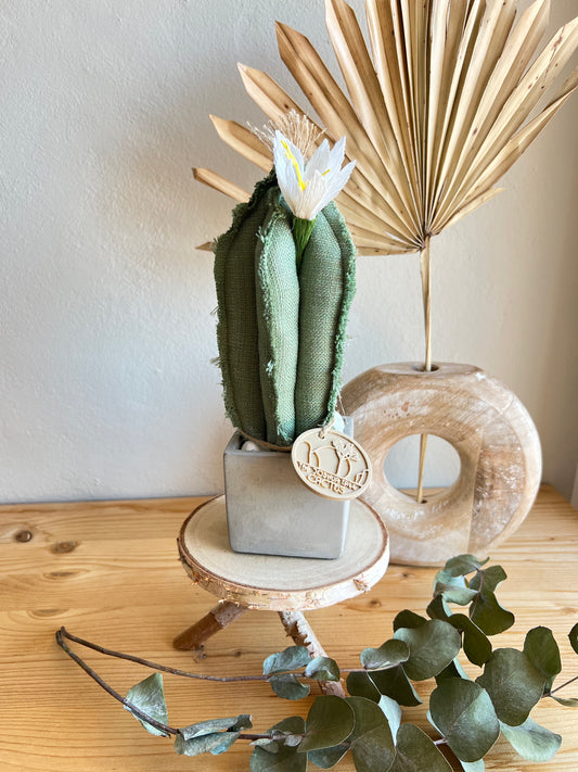 Mini Cactus in cotone verde, vaso a cubo in cemento, h circa 22 cm - fiore staccabile.