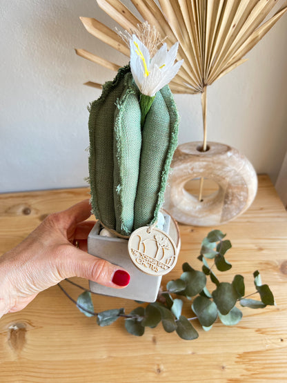 Mini Cactus in cotone verde, vaso a cubo in cemento, h circa 22 cm - fiore staccabile.