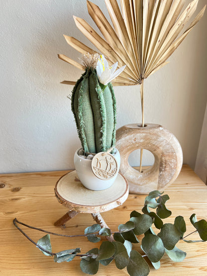 Mini Cactus in cotone verde, vaso in ceramica bianco lucido, h circa 19 cm - fiore staccabile.