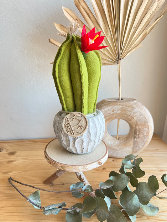 Mini Cactus in panno verde, vaso in cemento con motivi , h circa 22 cm - fiore staccabile.