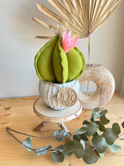 Mini Cactus in panno verde, vaso in cemento con motivi , h circa 18 cm - fiore staccabile.