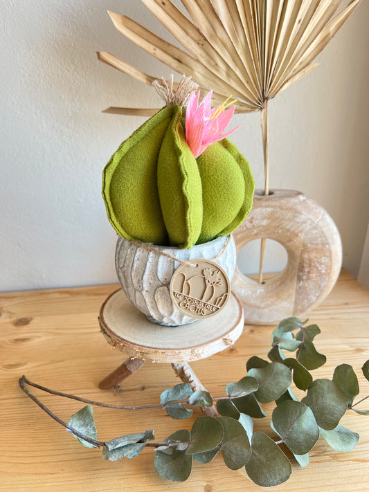 Mini Cactus in panno verde, vaso in cemento con motivi , h circa 18 cm - fiore staccabile.
