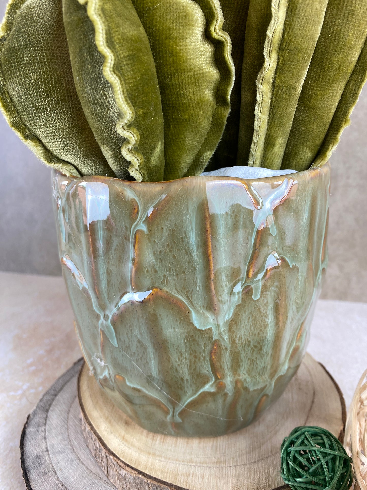 Blue velvet cactus composition with gray ceramic vase and decorative pebbles