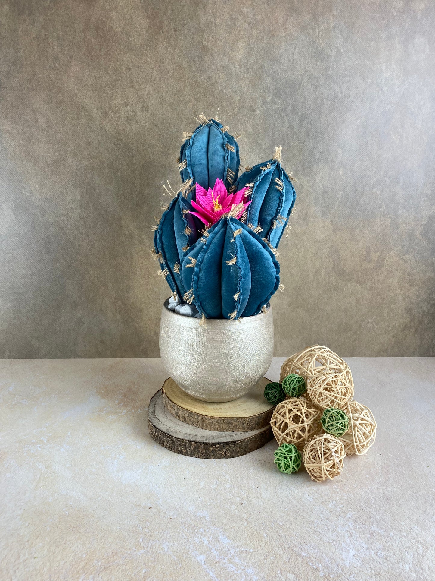 Blue velvet cactus composition with gray ceramic vase and decorative pebbles