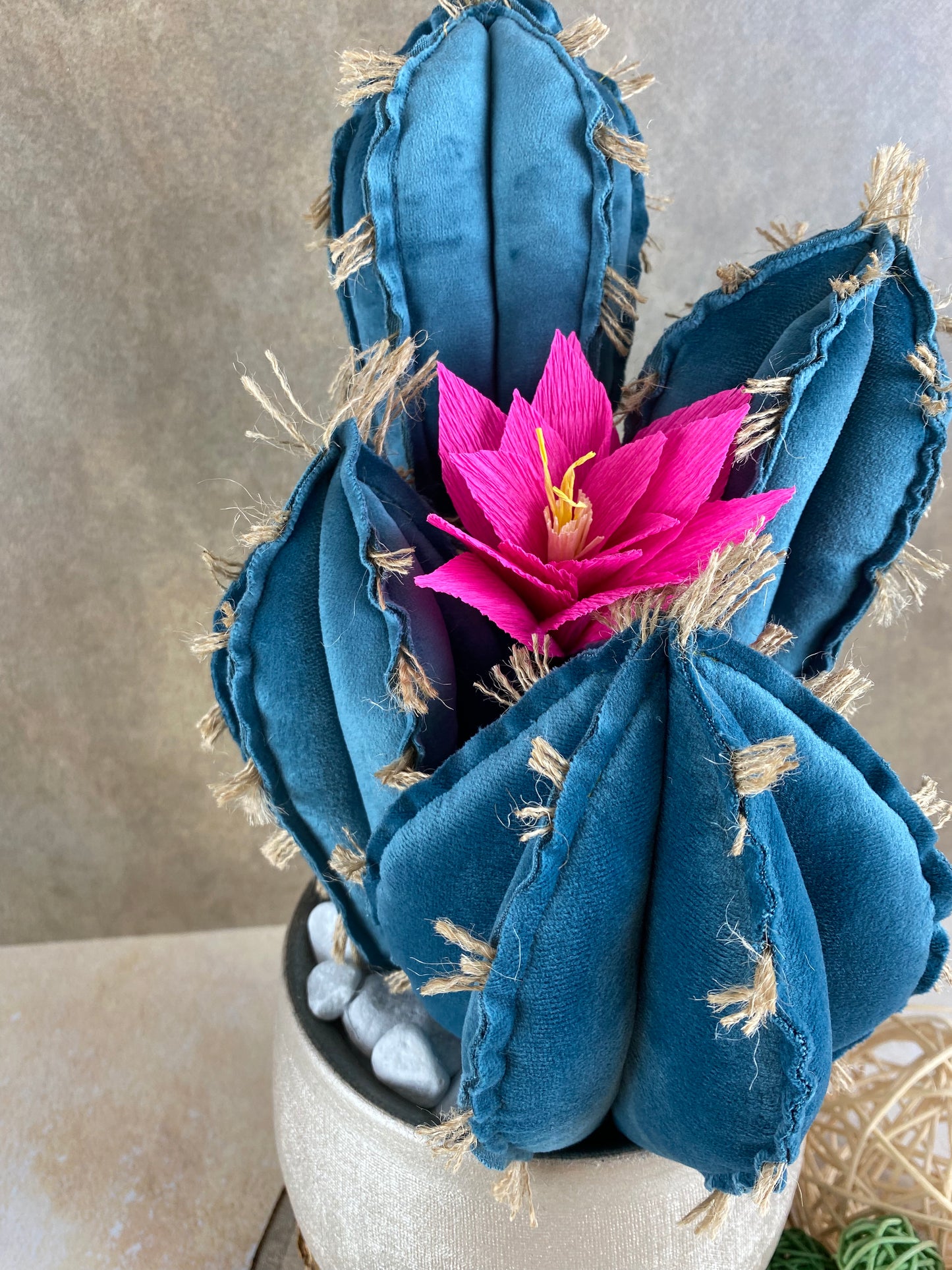 Blue velvet cactus composition with gray ceramic vase and decorative pebbles