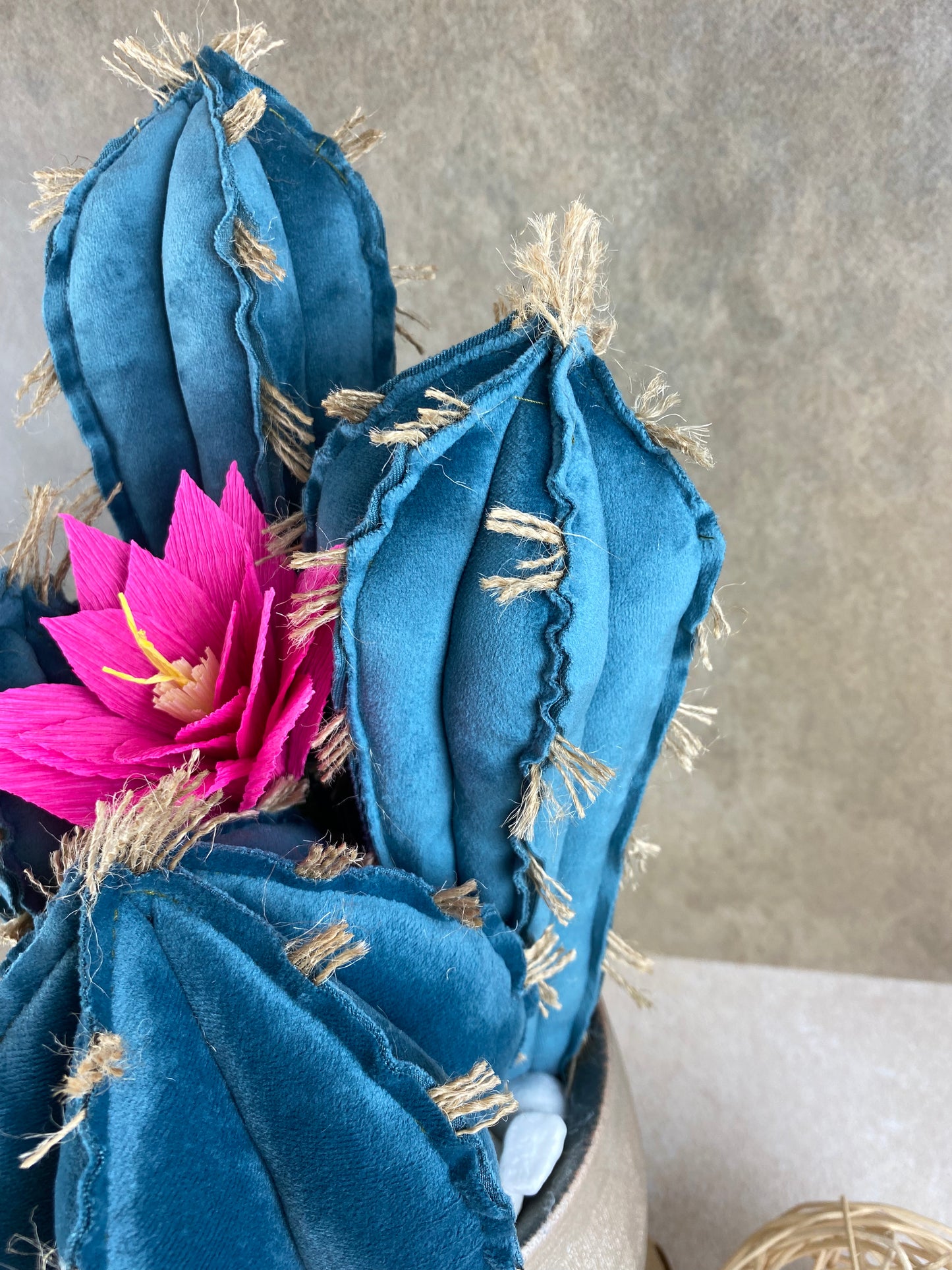 Blue velvet cactus composition with gray ceramic vase and decorative pebbles