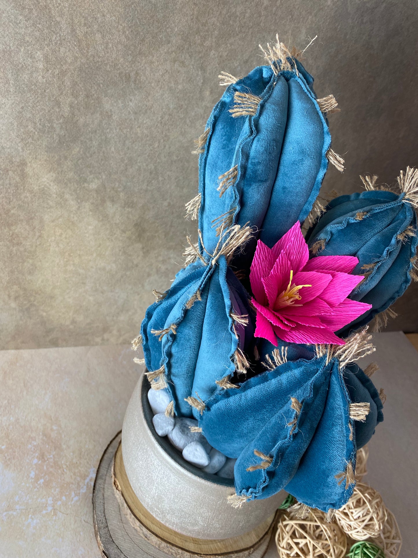 Blue velvet cactus composition with gray ceramic vase and decorative pebbles