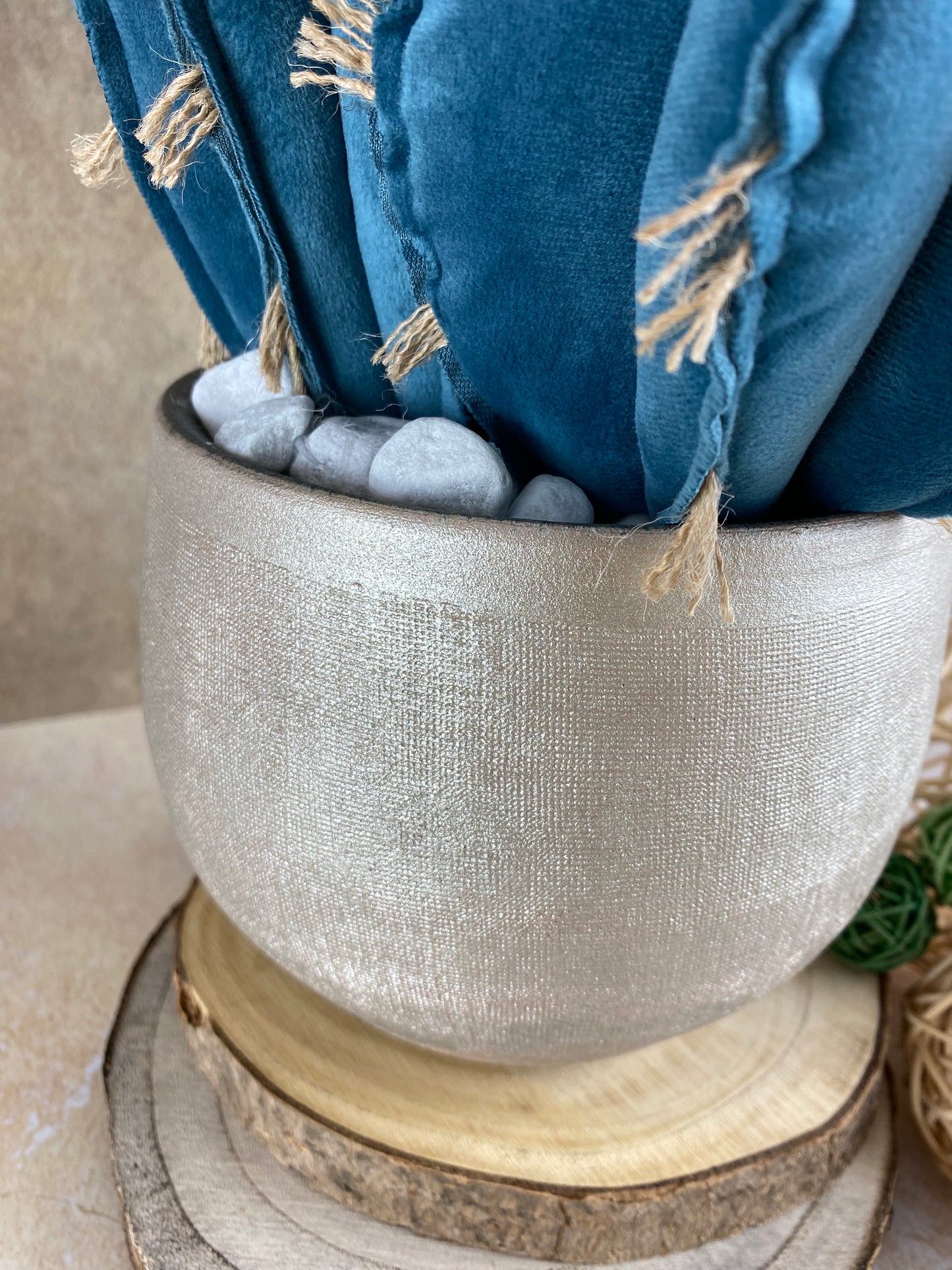 Blue velvet cactus composition with gray ceramic vase and decorative pebbles