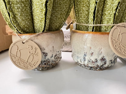 Coppia di mini Cactus in cotone verde, vaso in ceramica beige disegno astratto , h circa 18 e 22  cm - fiore staccabile