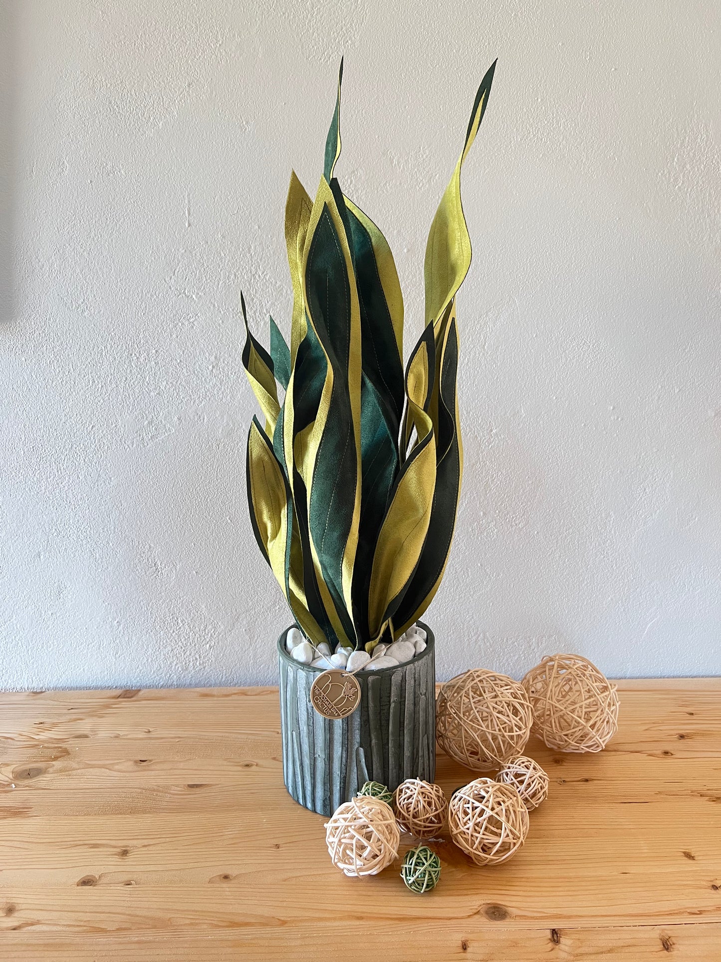 Sanseveria Over - 67 cm H