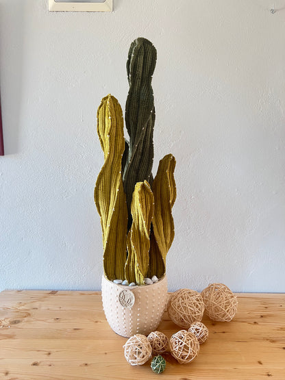 Composizione Cereus Peruvian h 73 cm - in pronta consegna - spedizione gratuita