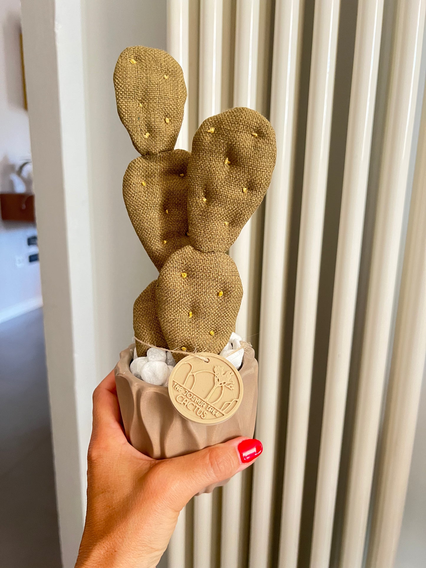 Opuntia in wool fabric complete with white ceramic vase and decorative stones.