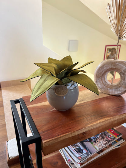 Agave mini in tessuto cangiante, vaso tortora
