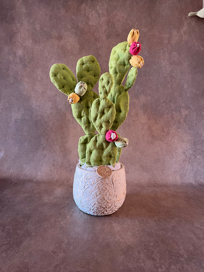 Opuntia verde chiaro vaso in ceramica bianco base opaca con motivo dorato in pronta consegna