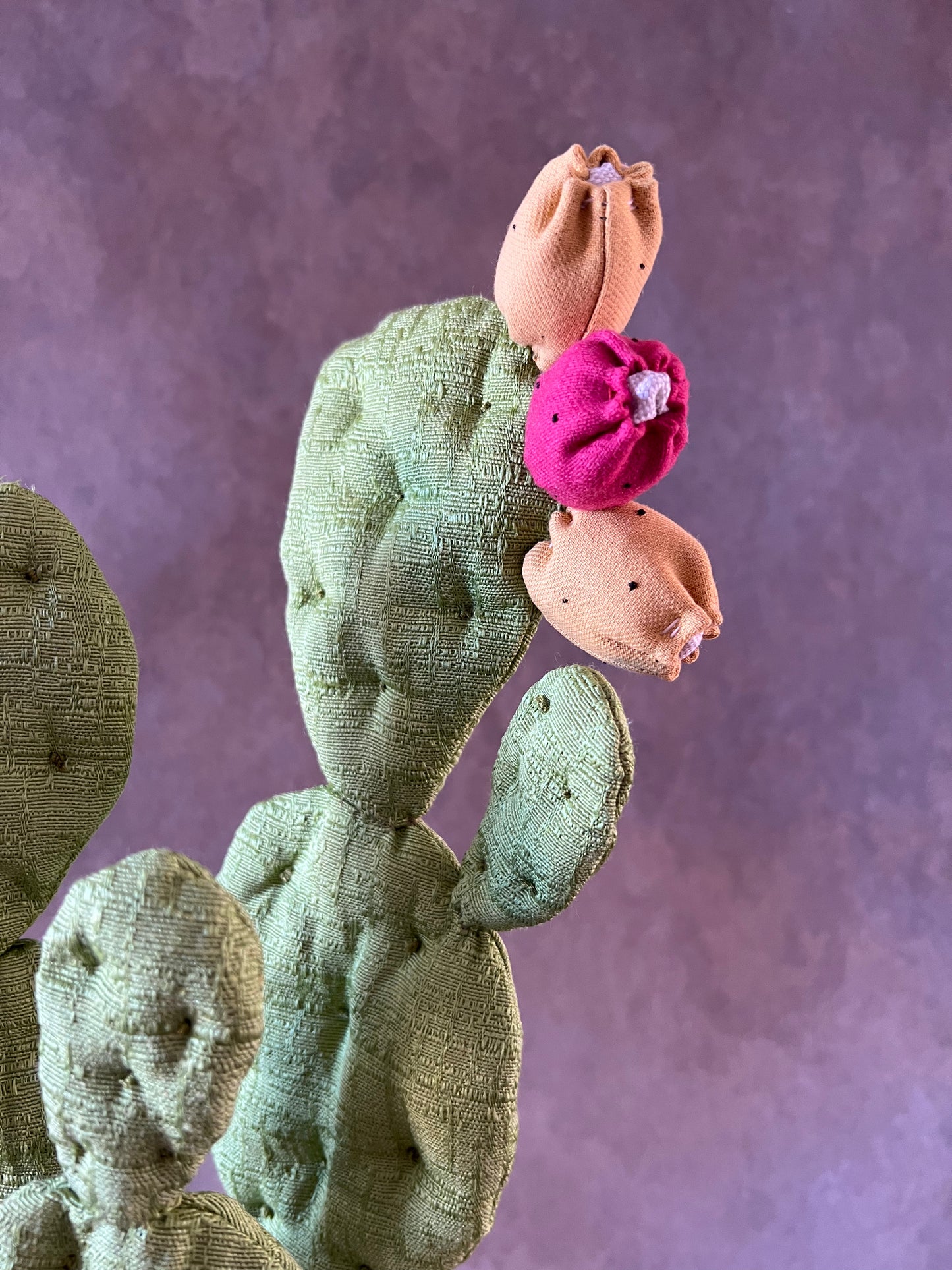 Opuntia verde chiaro vaso in ceramica bianco base opaca con motivo dorato in pronta consegna