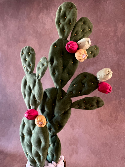 Opuntia verde scuro vaso in ceramica base grigia con motivo oro in pronta consegna