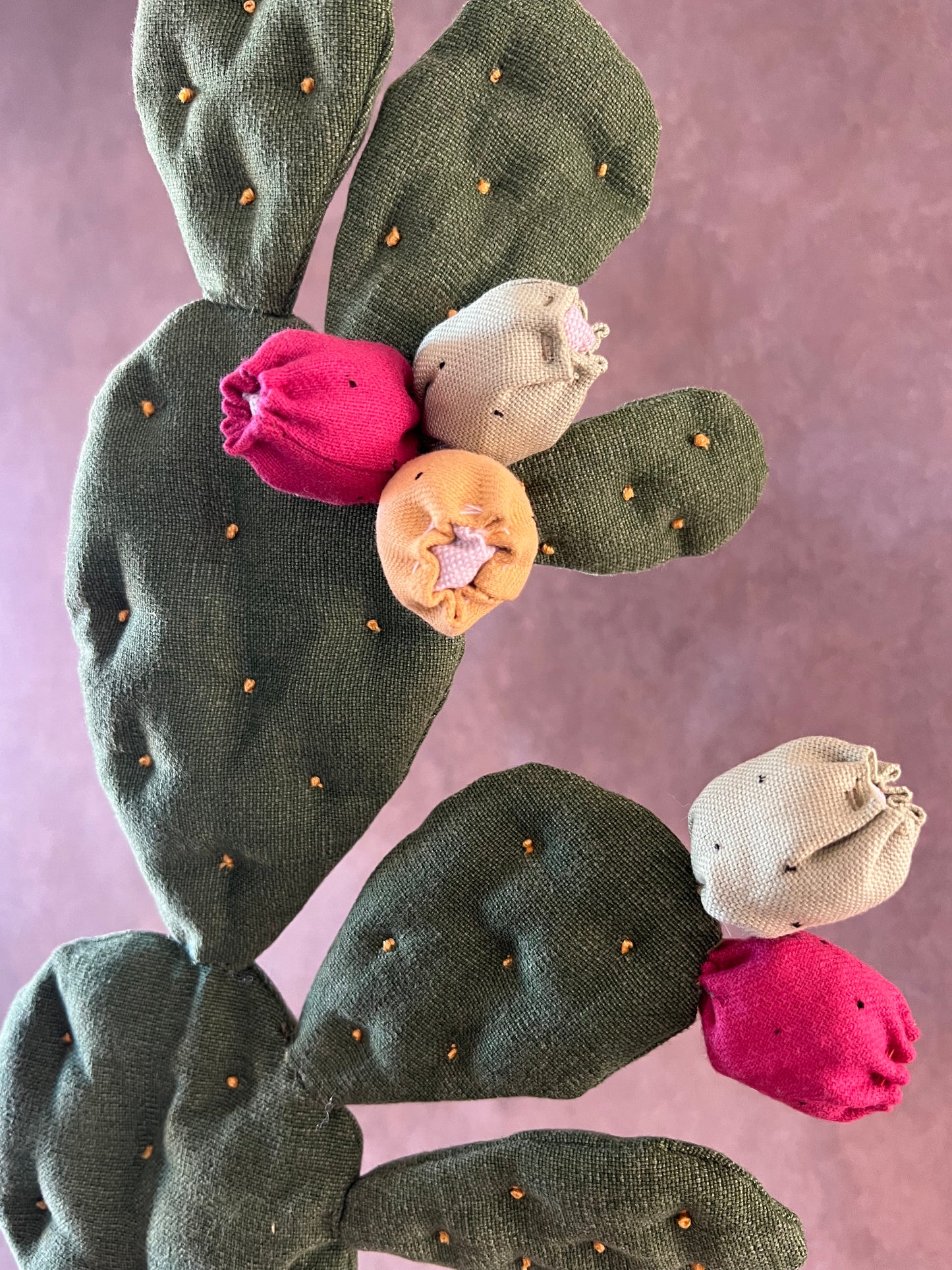 Opuntia verde scuro vaso in ceramica base grigia con motivo oro in pronta consegna