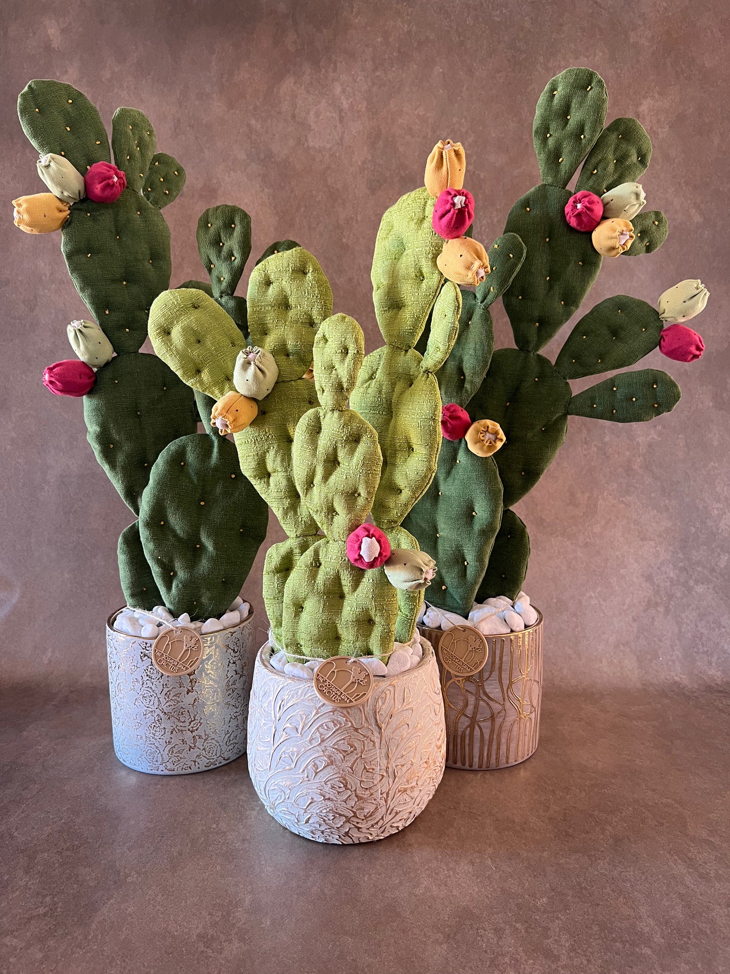 Opuntia verde scuro vaso in ceramica base grigia con motivo oro in pronta consegna