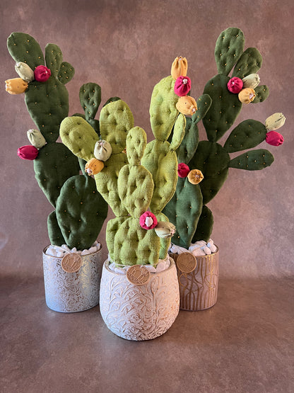 Opuntia verde scuro vaso in ceramica base grigia con motivo oro in pronta consegna