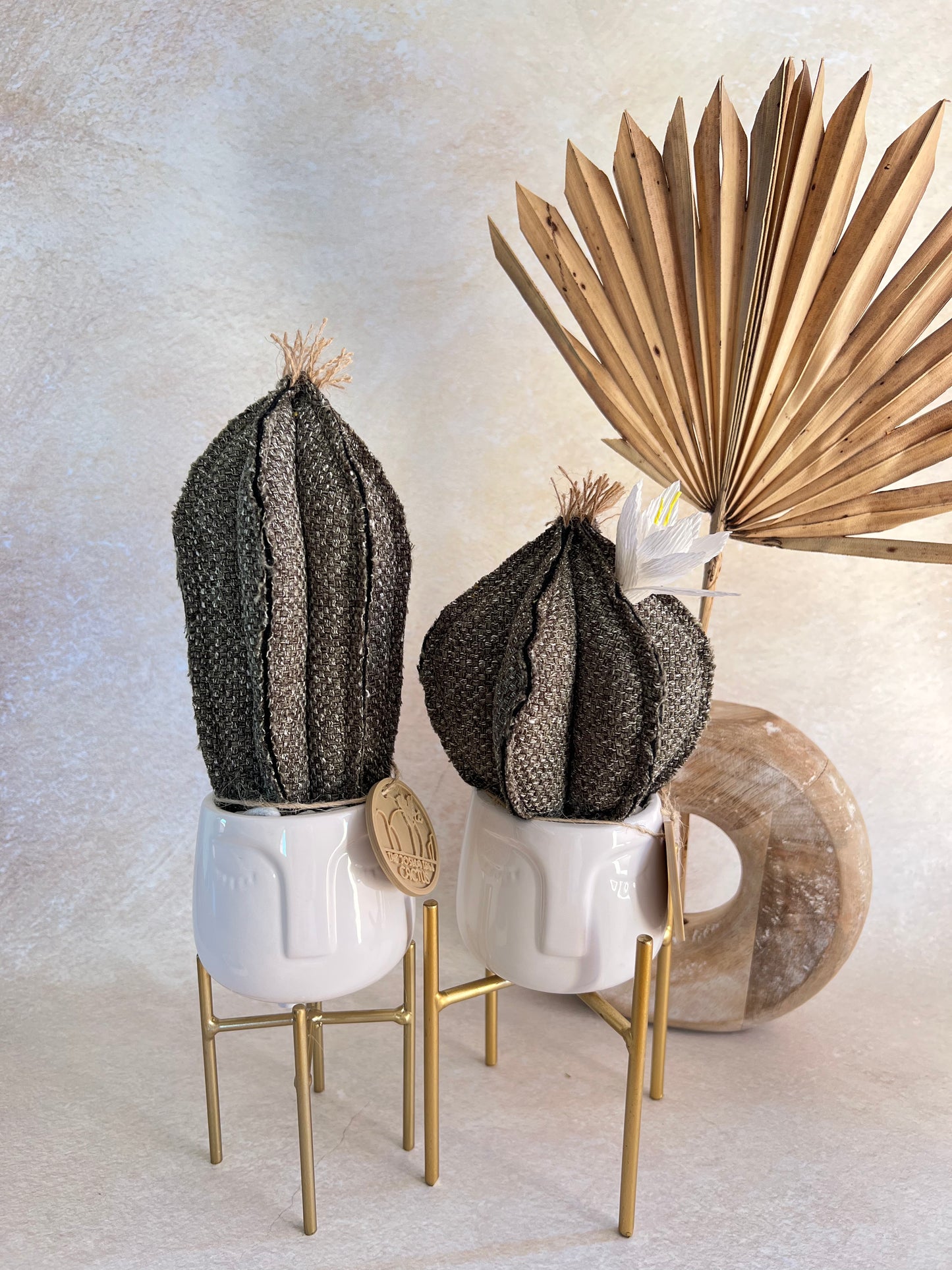Coppia di mini Cactus in cotone grigio/verde scuro, vaso in ceramica bianca lucida con volto -  h circa 18 e 23  cm - fiore staccabile.
