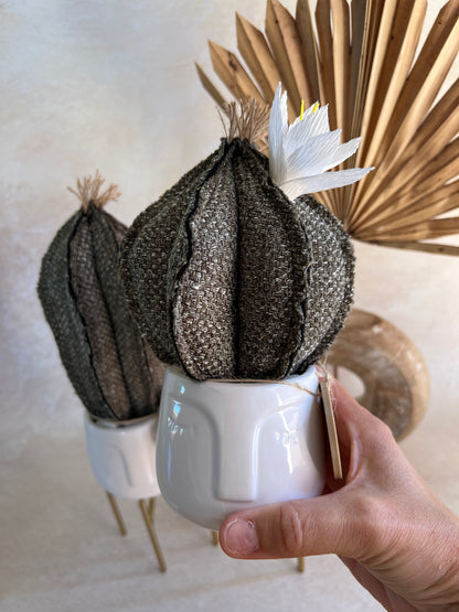 Coppia di mini Cactus in cotone grigio/verde scuro, vaso in ceramica bianca lucida con volto -  h circa 18 e 23  cm - fiore staccabile.