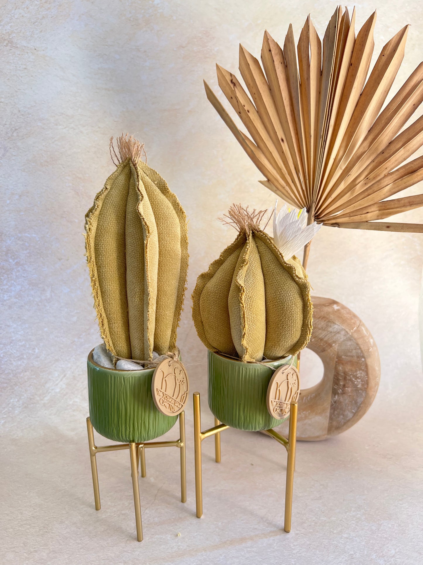 Coppia di mini Cactus in cotone verde chiarissimo, vasi  in ceramica verde acqua -  h circa 18 e 23  cm - fiore staccabile.