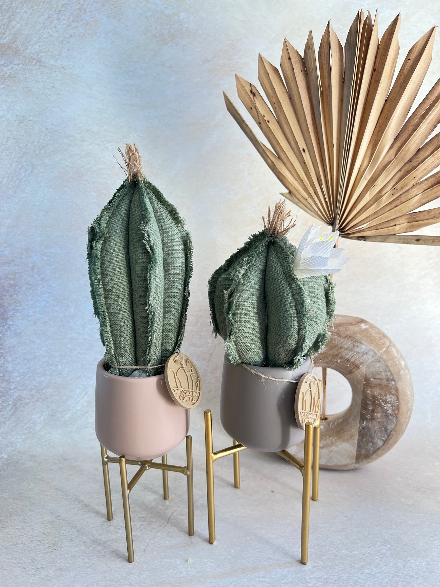 Coppia di mini Cactus in cotone verde, vasi  in ceramica grigio e rosa antico opachi -  h circa 18 e 23  cm - fiore staccabile.