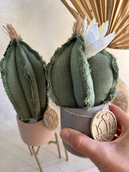 Coppia di mini Cactus in cotone verde, vasi  in ceramica grigio e rosa antico opachi -  h circa 18 e 23  cm - fiore staccabile.