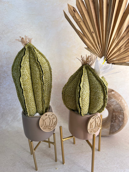 Coppia di mini Cactus in cotone verde, vasi  in ceramica grigia e rosa antico opachi-  h circa 18 e 23  cm - fiore staccabile.