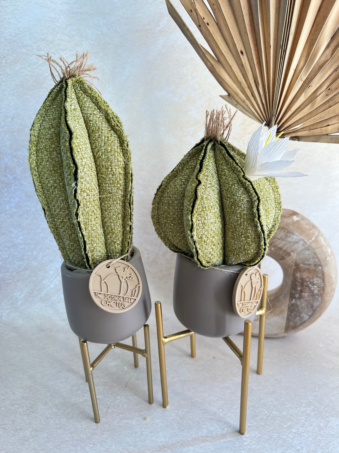 Coppia di mini Cactus in cotone Verde, vasi in ceramica opaca grigia liscia -  h circa 18 e 23  cm - fiore staccabile.