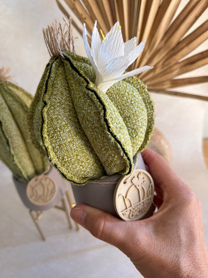 Coppia di mini Cactus in cotone Verde, vasi in ceramica opaca grigia liscia -  h circa 18 e 23  cm - fiore staccabile.