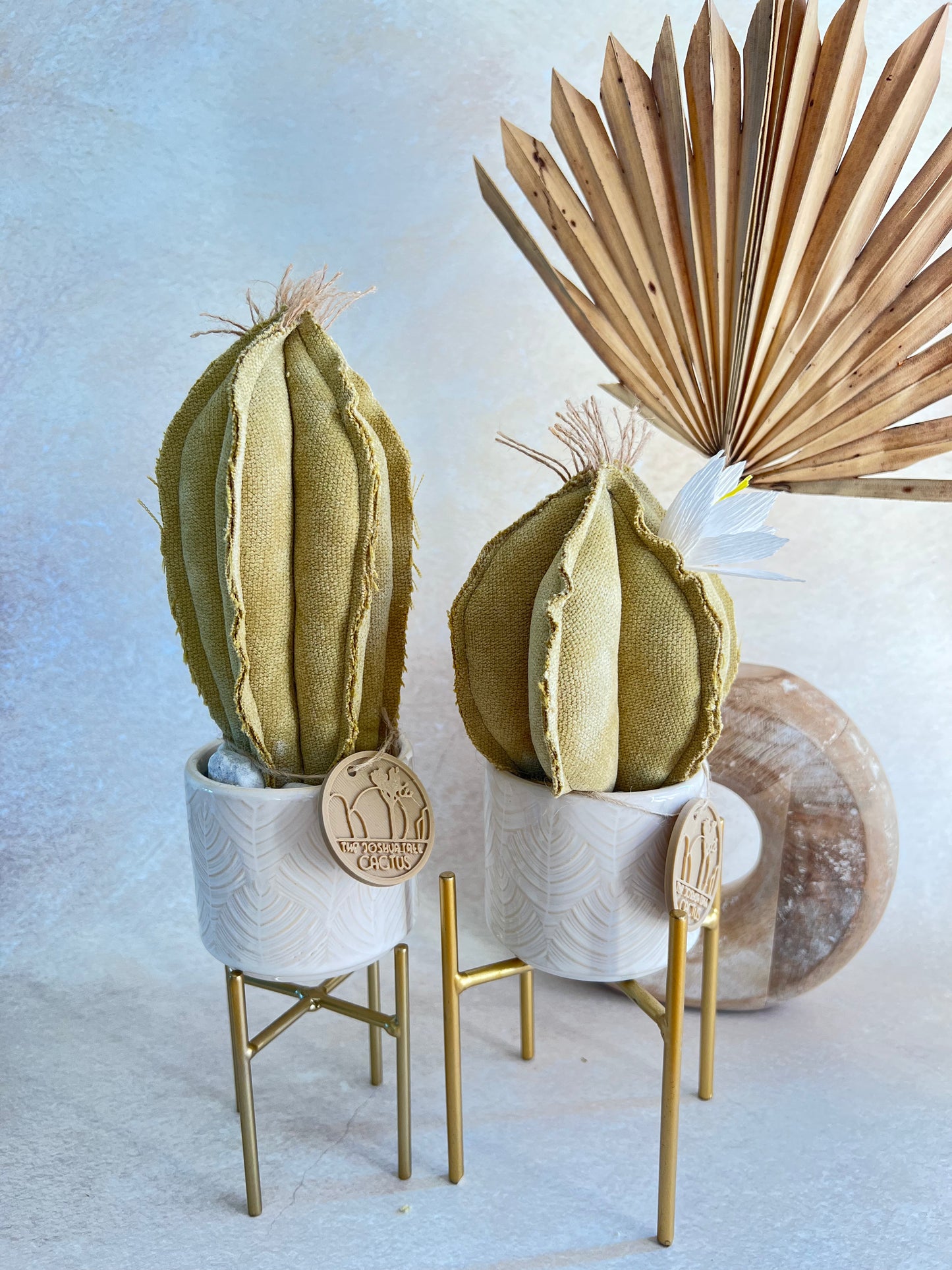 Coppia di mini Cactus in velluto Verde chiarissimo vasi in ceramica lucida bianca con motivo geometrico beige -  h circa 18 e 23  cm - fiore staccabile.