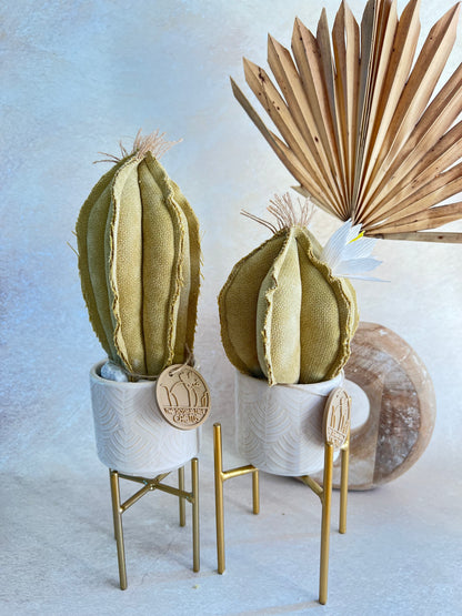 Coppia di mini Cactus in velluto Verde chiarissimo vasi in ceramica lucida bianca con motivo geometrico beige -  h circa 18 e 23  cm - fiore staccabile.