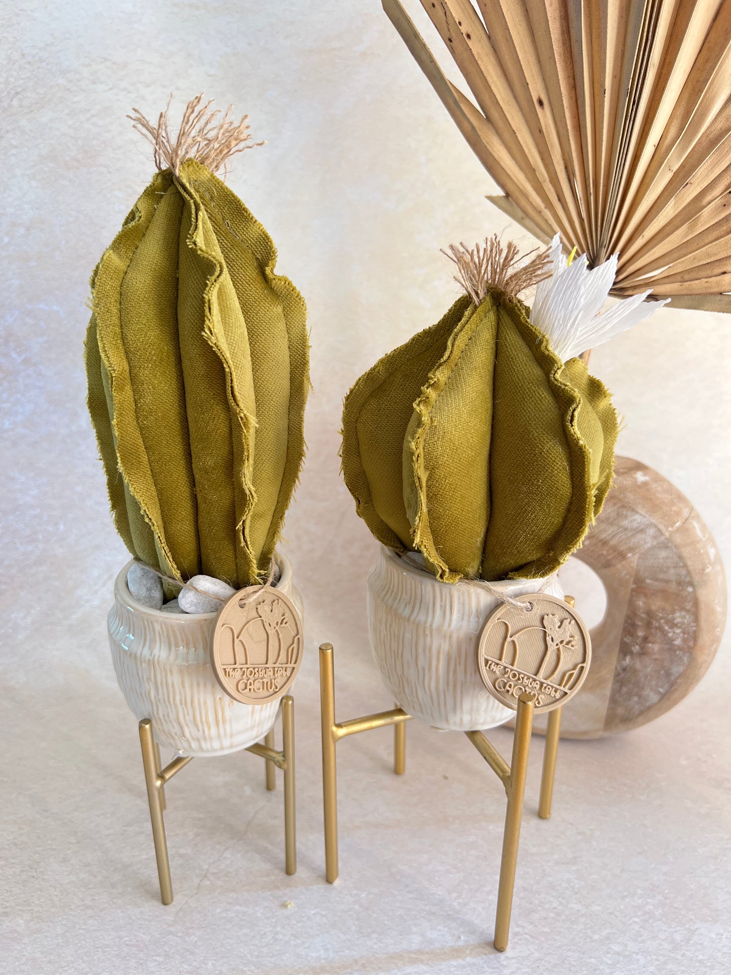 Coppia di mini Cactus in velluto Verde vasi in ceramica lucida bianca con striature beige -  h circa 18 e 23  cm - fiore staccabile.