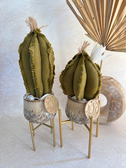 Coppia di mini Cactus in cotone Verdeoro vasi  in ceramica motivo astratto beige -  h circa 18 e 23  cm - fiore staccabile.