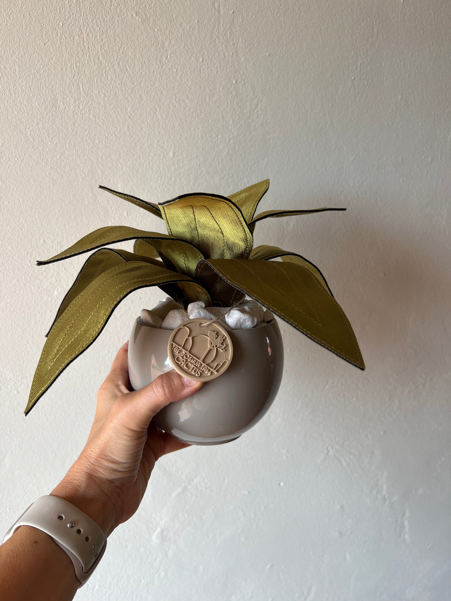 Agave