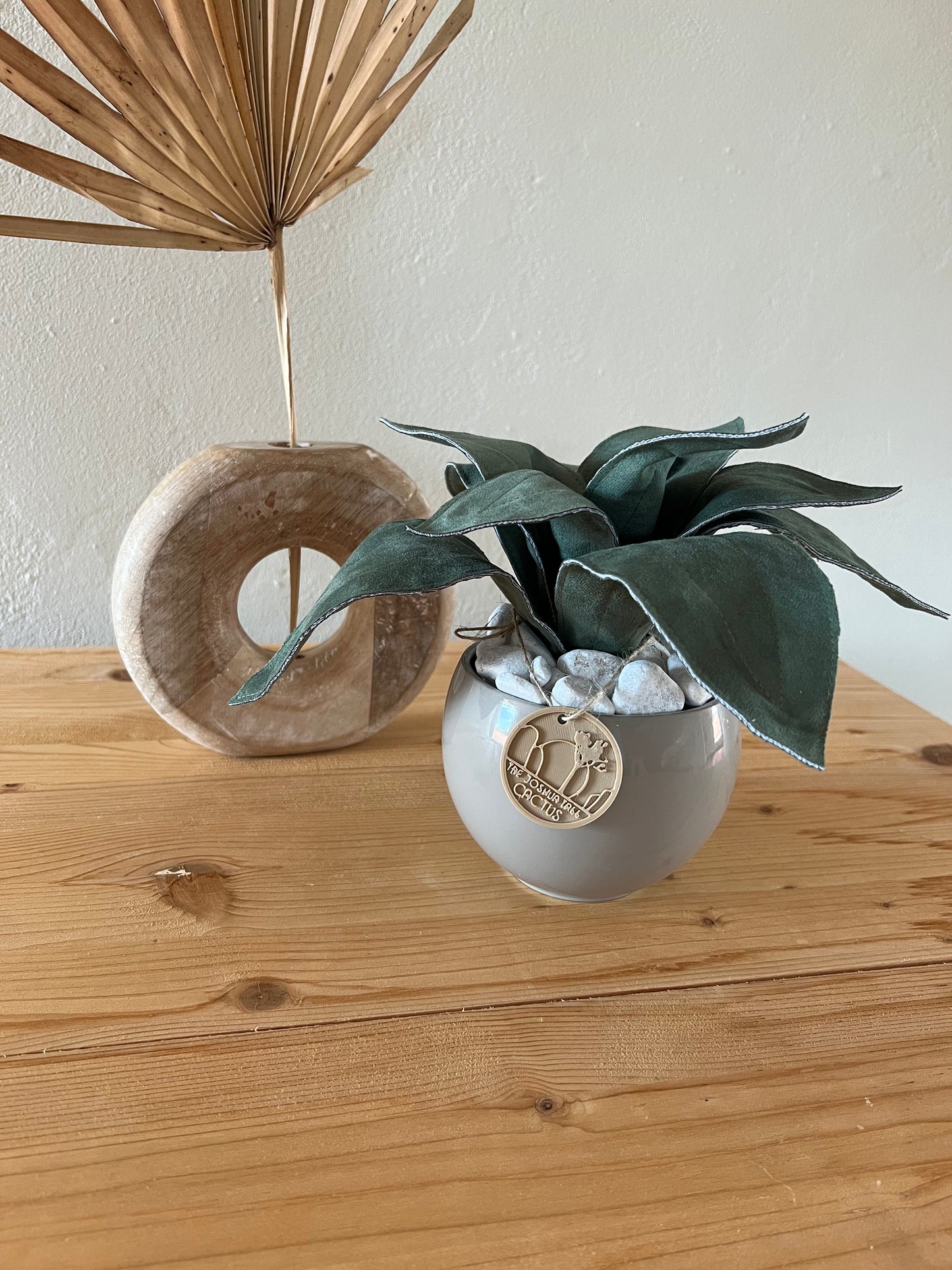 Agave