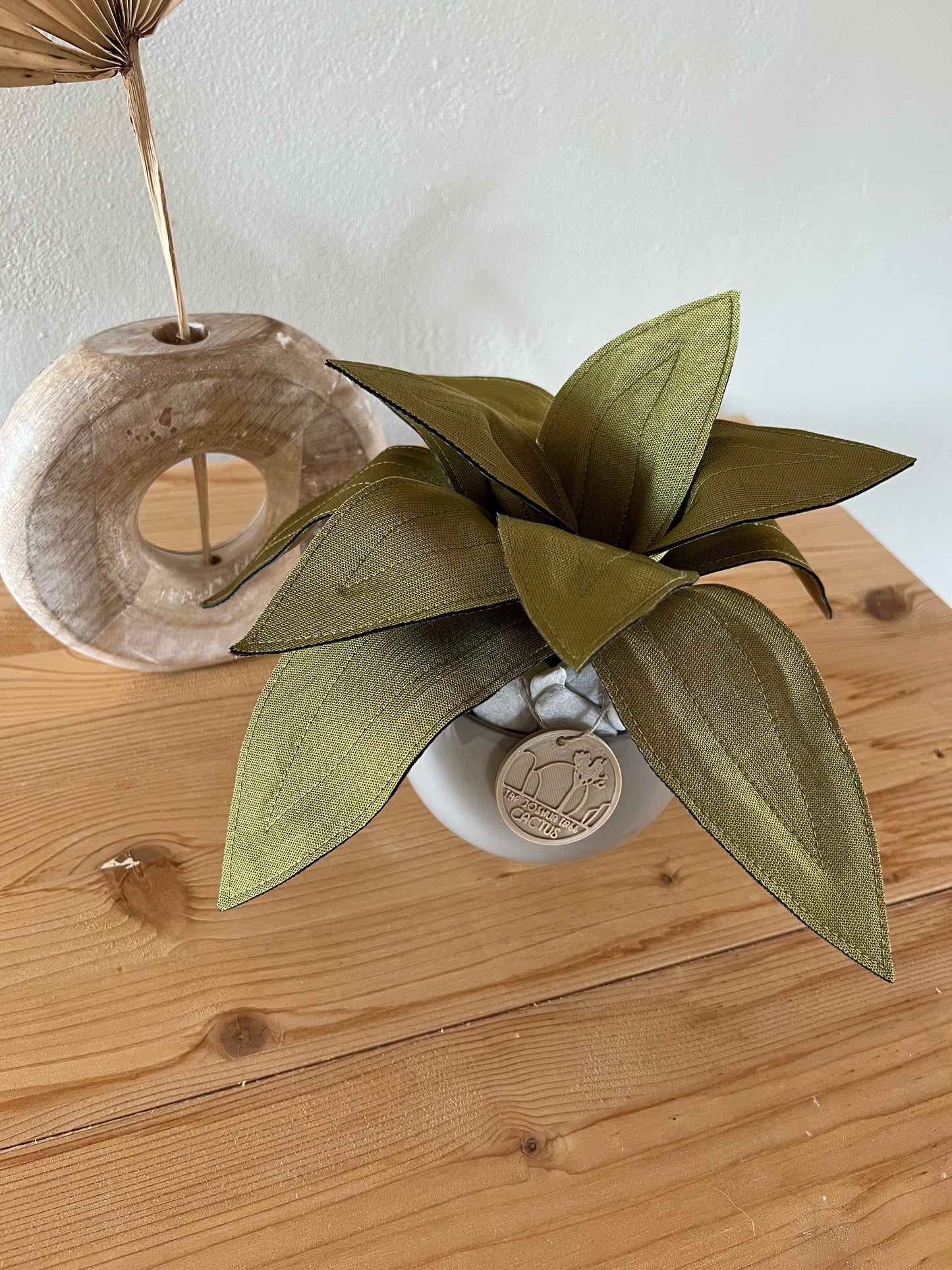 Agave