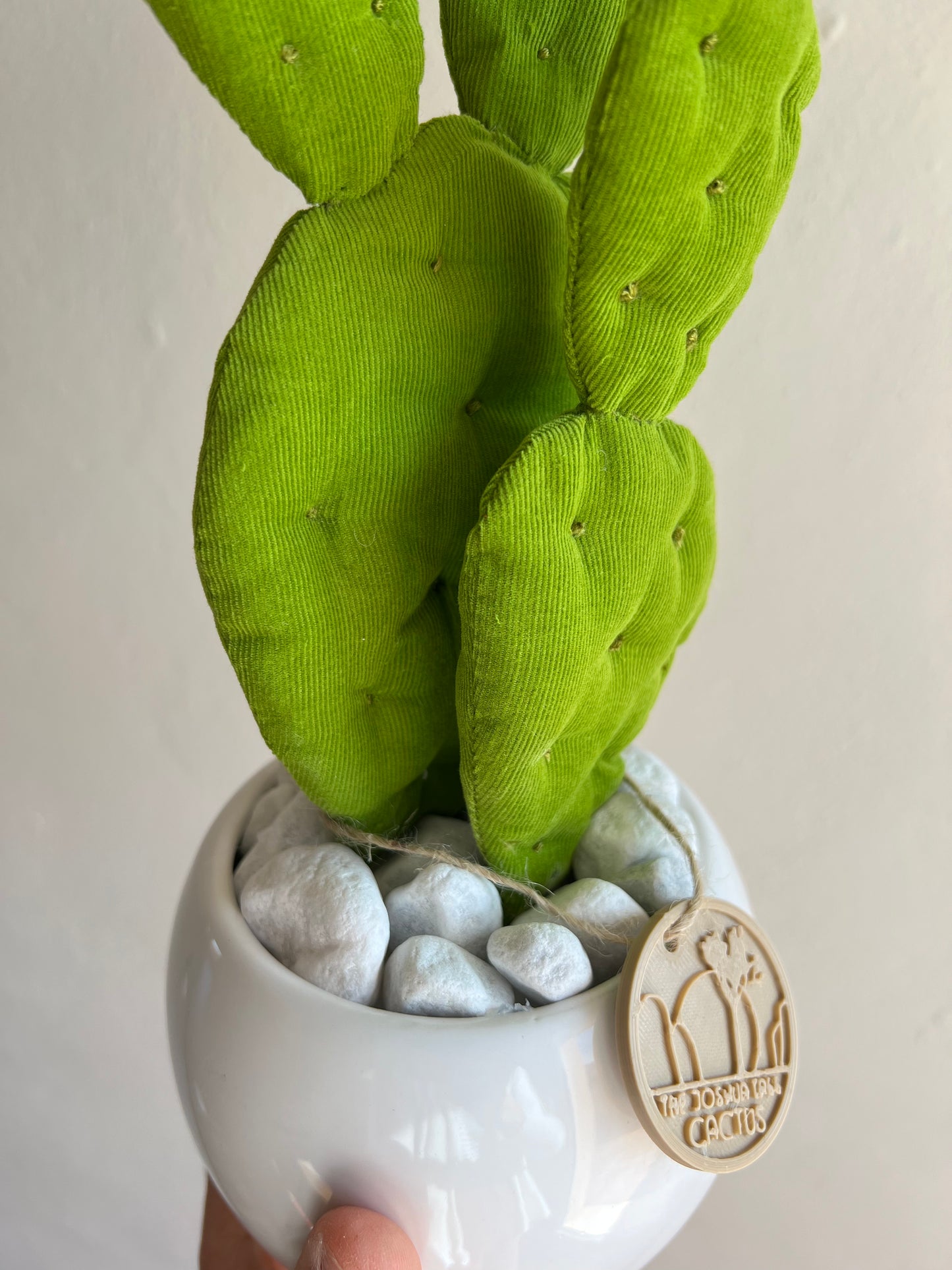 Mini Opuntia verde acido con vaso in ceramica bianco lucido - in pronta consegna