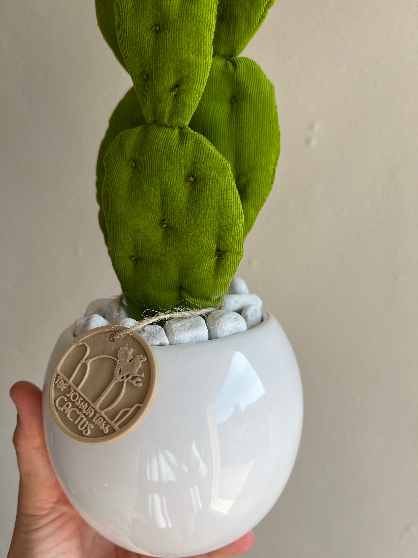 Mini Opuntia verde acido con vaso in ceramica bianco lucido - in pronta consegna