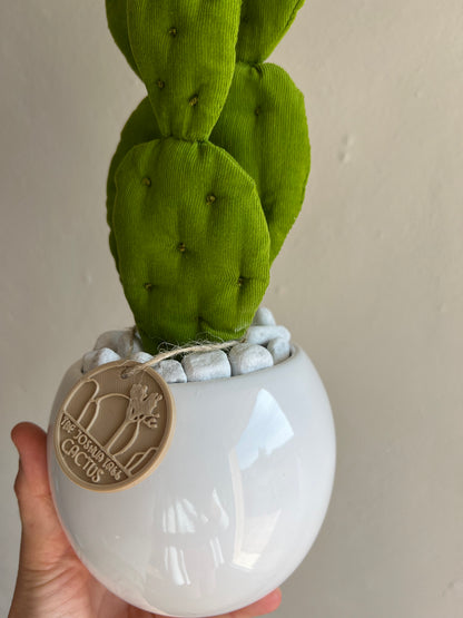 Mini Opuntia verde acido con vaso in ceramica bianco lucido - in pronta consegna