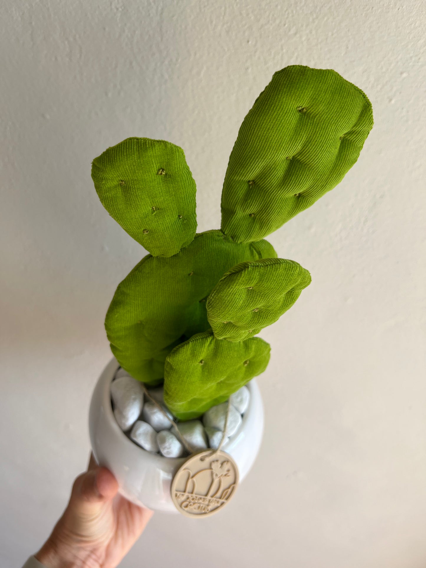 Mini Opuntia verde acido con vaso in ceramica bianco lucido - in pronta consegna
