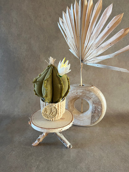 Mini Cactus in cotone verdeoro, vaso in ceramica beige vintage style -  h circa  18 cm - fiore staccabile.